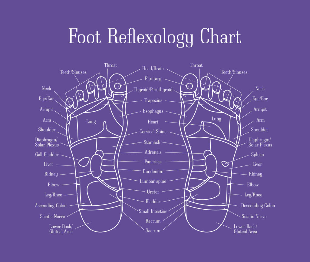 Reflexology Therapy Feet Chart - Edmonton Touch Massage